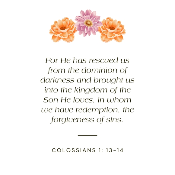 CLEARANCE SALE $15 minimum - Picture 5 of 16